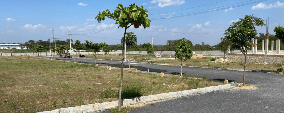 Projects untitled design (30)